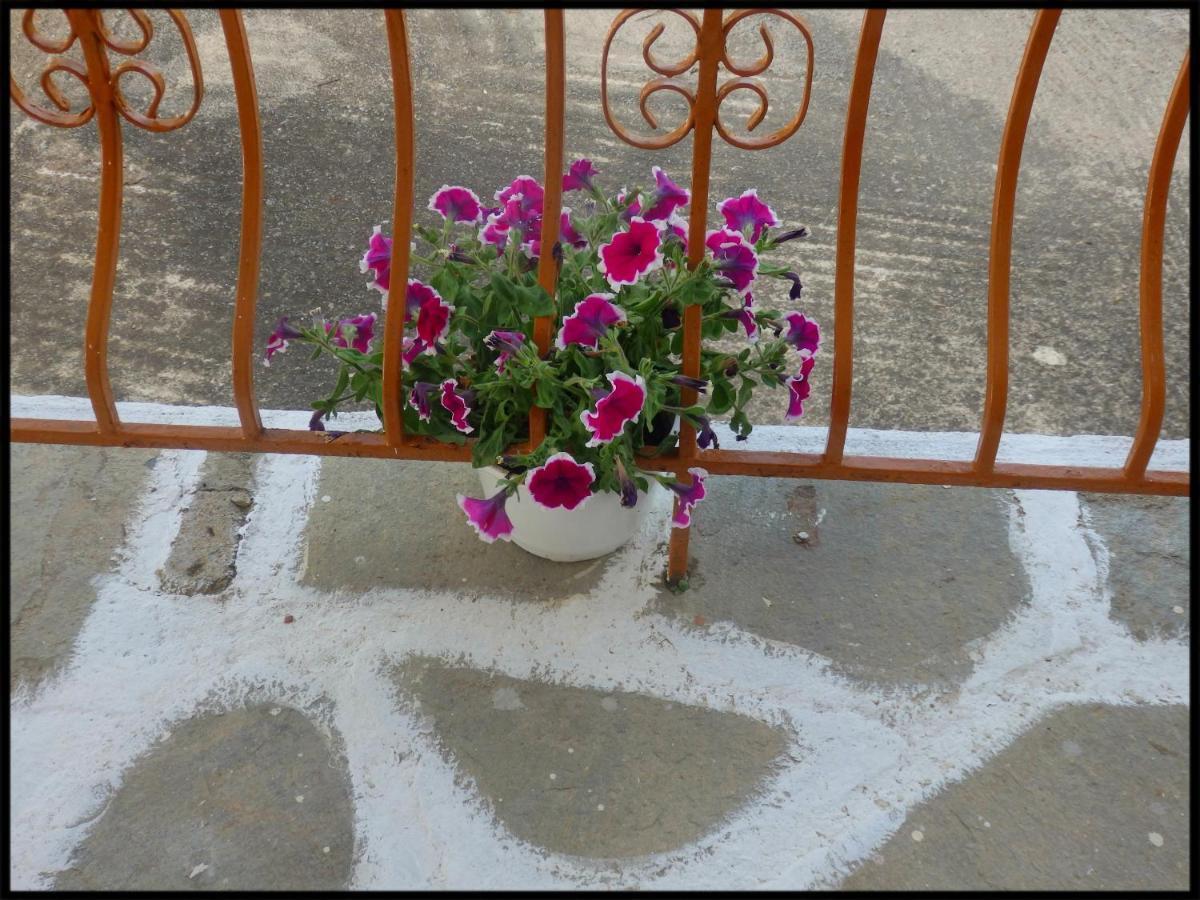 فيلا Andronikis House سيكيا المظهر الخارجي الصورة